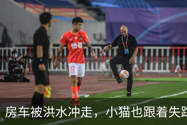 房车被洪水冲走，小猫也跟着失踪，8天后它突然回家了，全家人都哭了