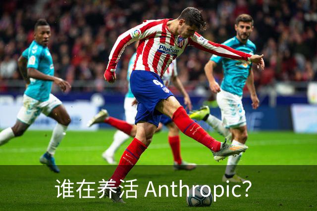 谁在养活 Anthropic？