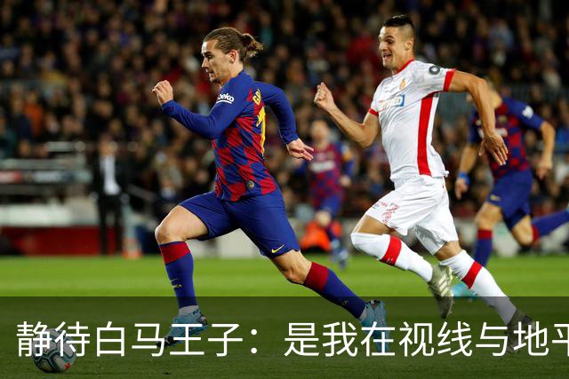 静待白马王子：是我在视线与地平线之间为你留出的可调节焦距